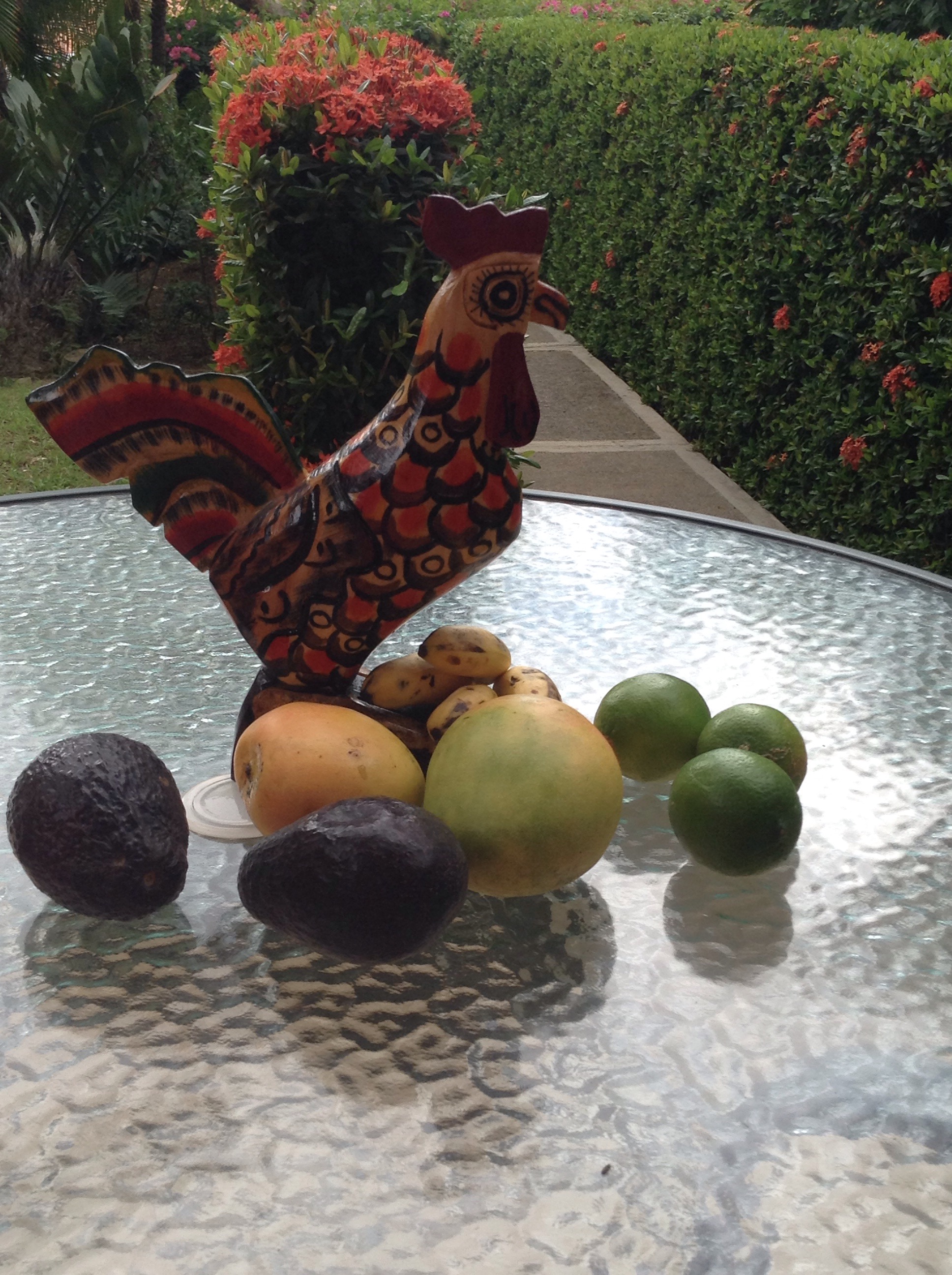 We walked 1km to the larger grocery store, purchasing only what the six of us could carry. The girls had to eat the ice cream sandwiches immediately! 