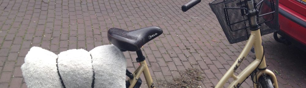 the Velascos on vacation